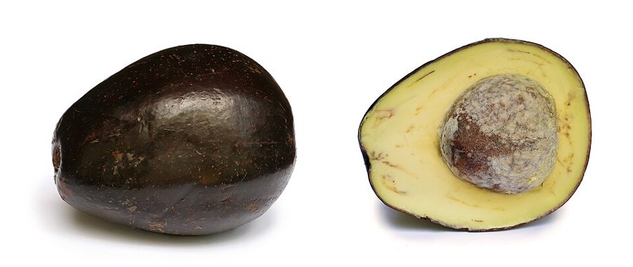 Avocado Small