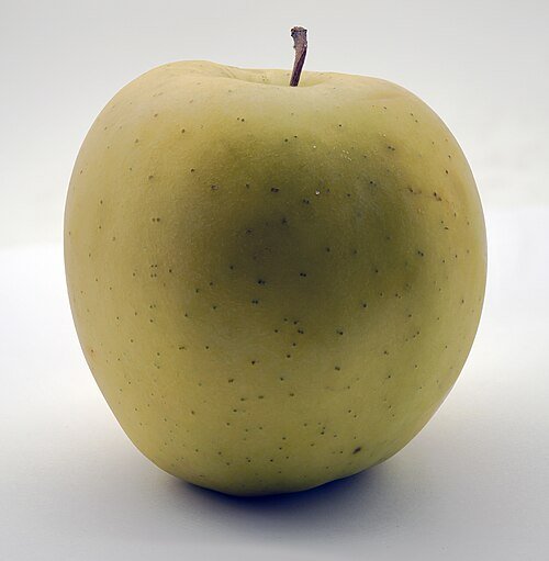 Apples Golden Delicious