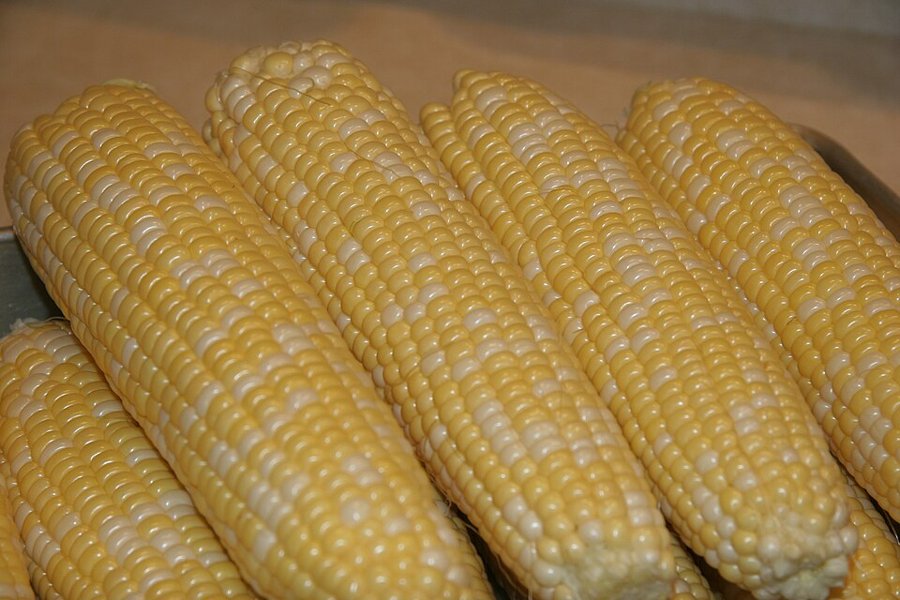 Fresh Corn
