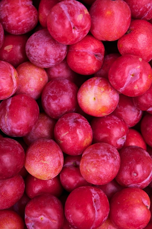 Plums Red