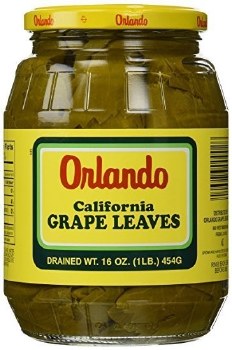 Orlando Grape Leaves