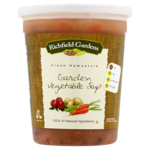 Garden Vegetable Soup